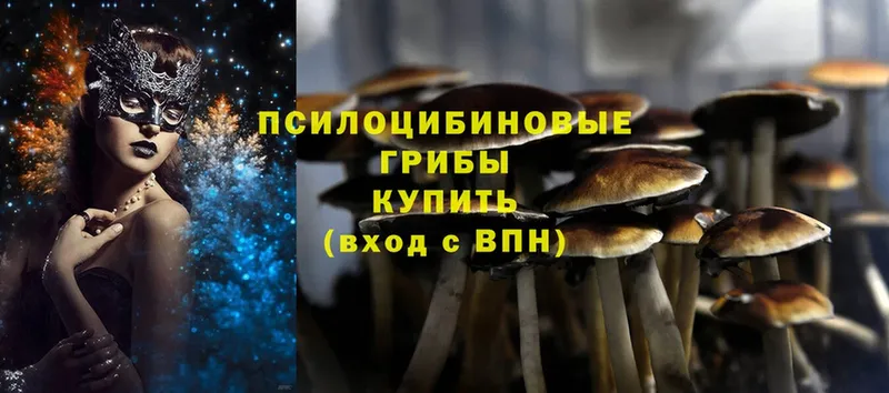 Галлюциногенные грибы Psilocybe  Галич 